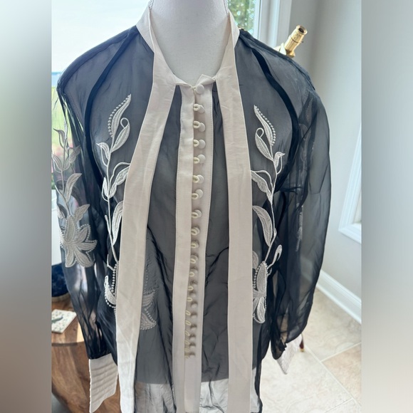 Vici Venetian Embroidered Statement Blouse Feminine Sheer Preppy Ethereal Sz M - Picture 5 of 13